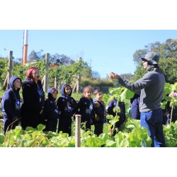 Horto Municipal de Campo Largo recebe visitas guiadas de estudantes da rede pública e privada